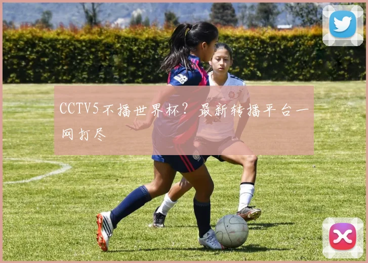 CCTV5不播世界杯？最新转播平台一网打尽