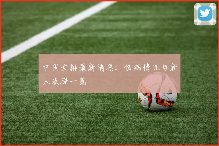 中国女排最新消息：伤病情况与新人表现一览