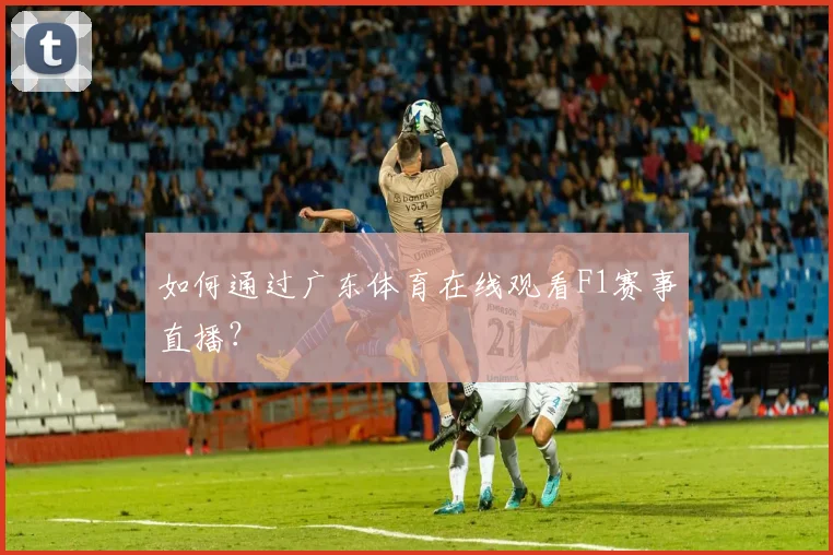 如何通过广东体育在线观看F1赛事直播？