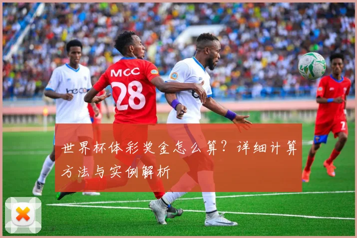 世界杯体彩奖金怎么算？详细计算方法与实例解析