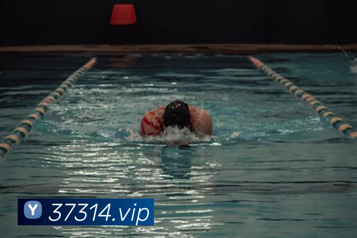 App Interface Preview