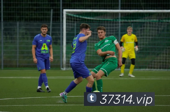 米兰体育网页官网APP 封面图